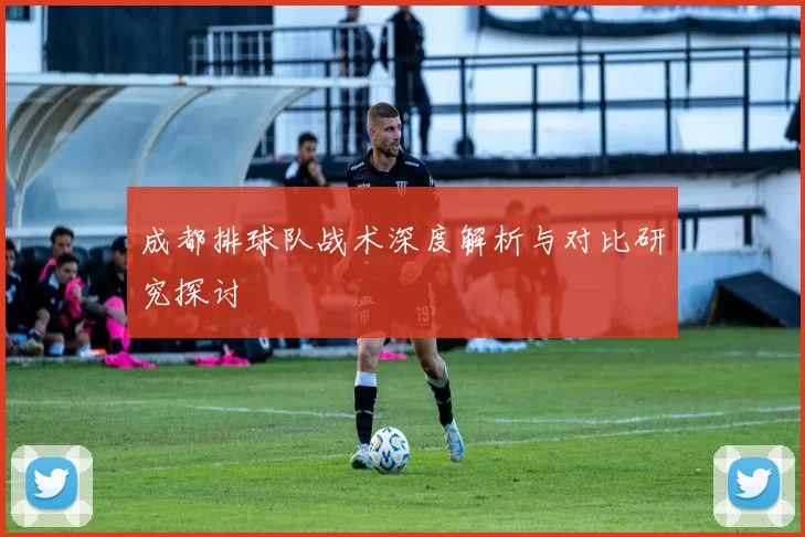 成都排球队战术深度解析与对比研究探讨