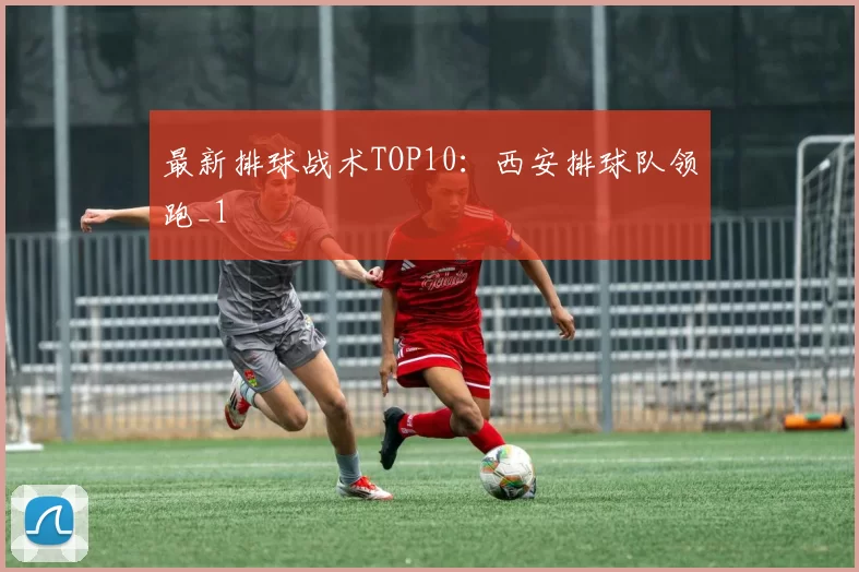 最新排球战术TOP10：西安排球队领跑_1