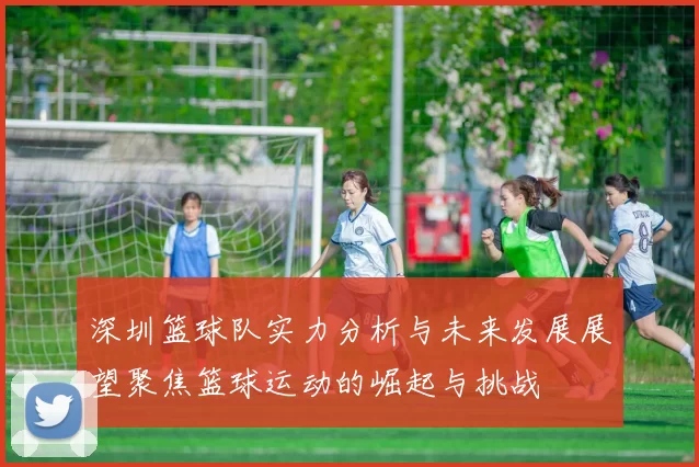 深圳篮球队实力分析与未来发展展望聚焦篮球运动的崛起与挑战