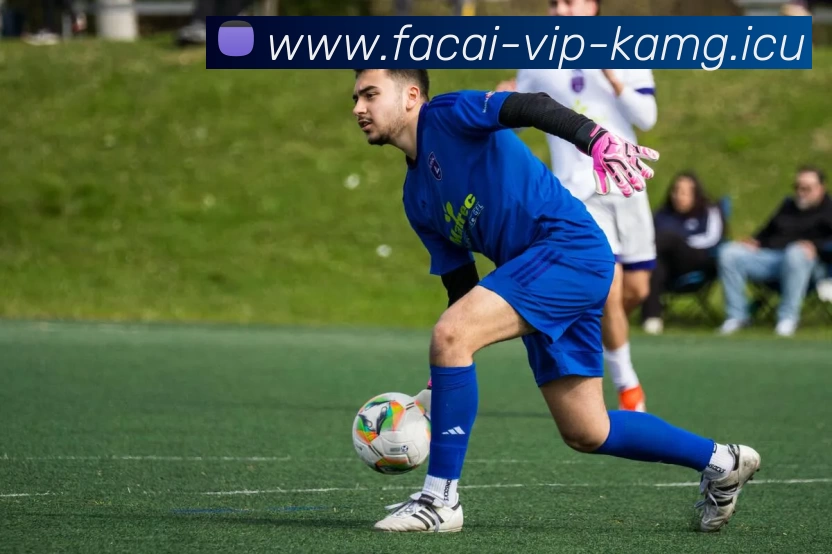 九游体育平台生态图